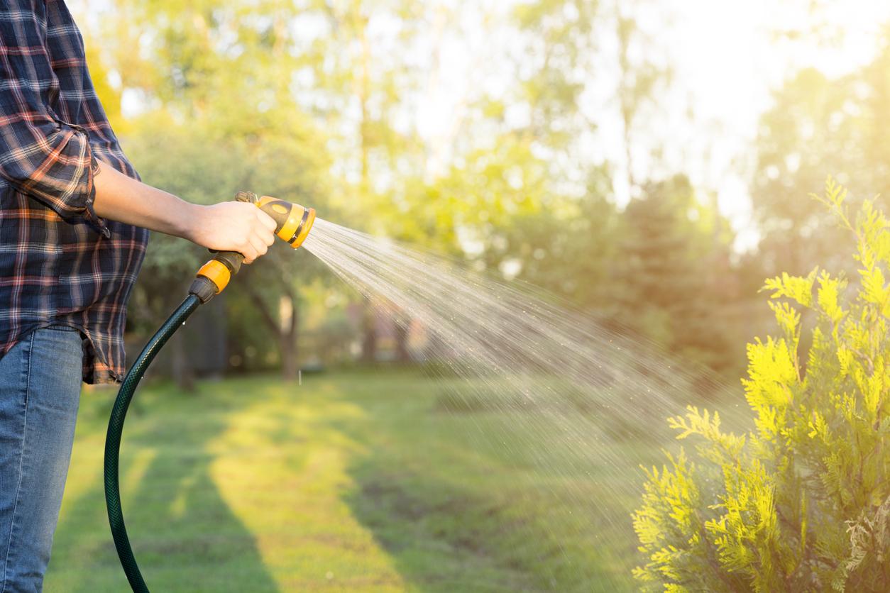 Best Lawn Watering Tips | Franks Lawn & Tree Service