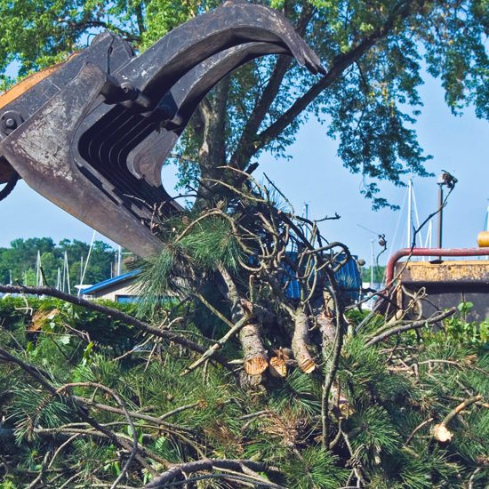 debris removal , Landscape Services in Kendall , Debris Clean Up