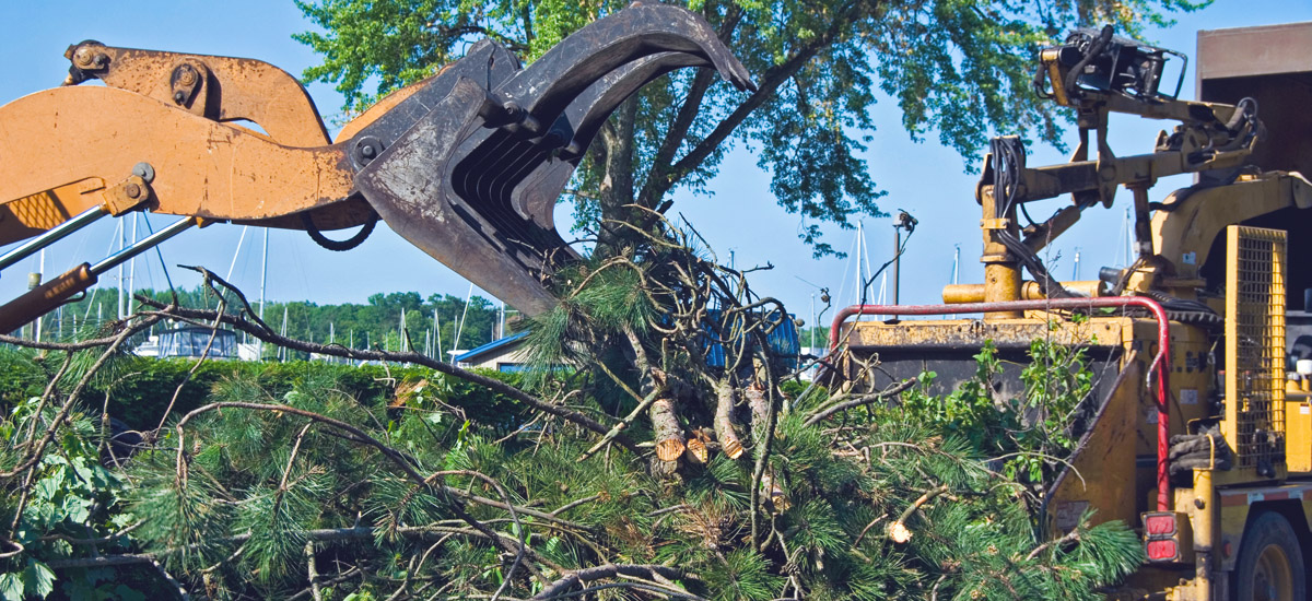 debris removal , Landscape Services in Kendall , Debris Clean Up