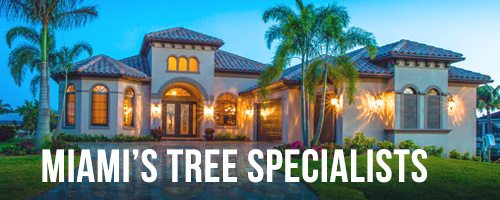 miami-tree-specialists, Lawn Maintenance Services