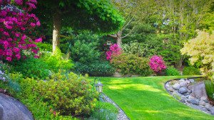 Lawn Services in Coral Gables