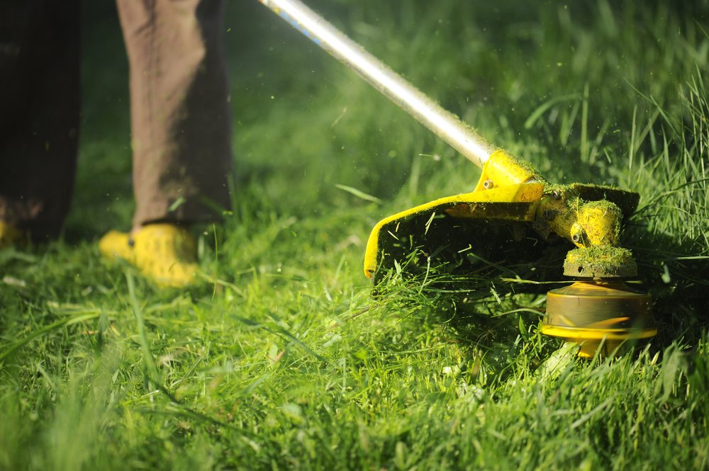 Lawn Maintenance in Miami | Expert Lawn Care Services