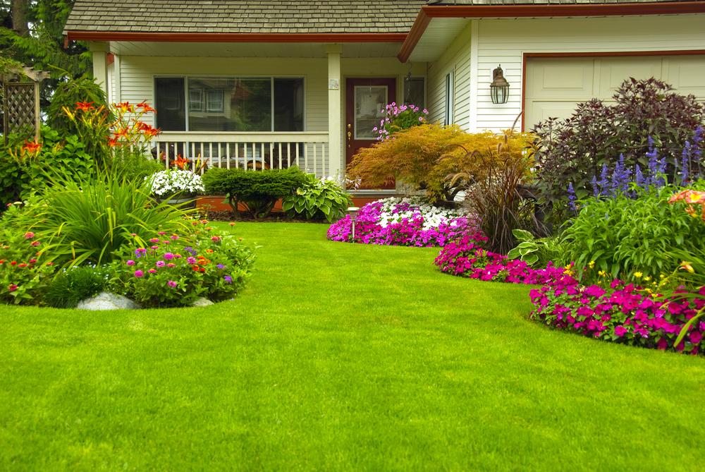 South Florida Landscapers Franks Lawn, How To Plant A Flower Garden In Florida