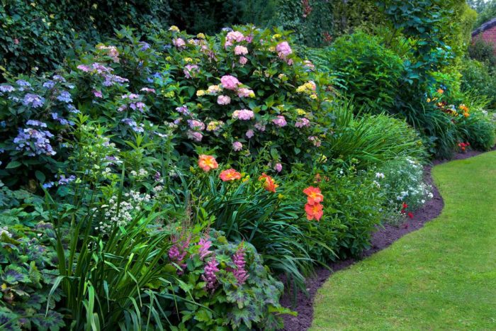 Landscaping Plants | Liven Your Front Yard!