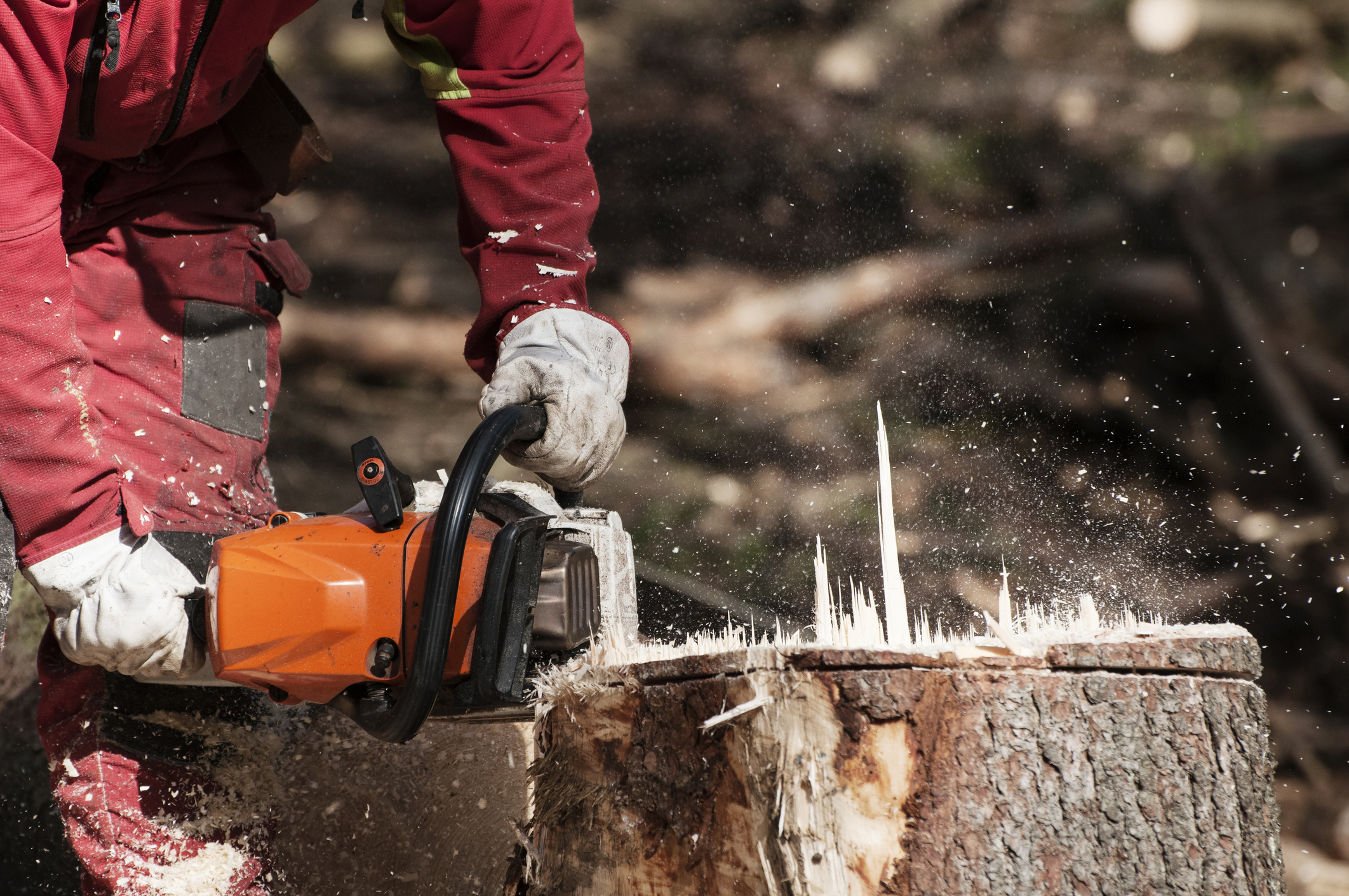 stump removal tips