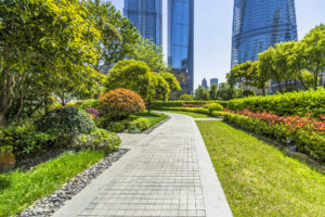 Commercial Landscaping in South Miami