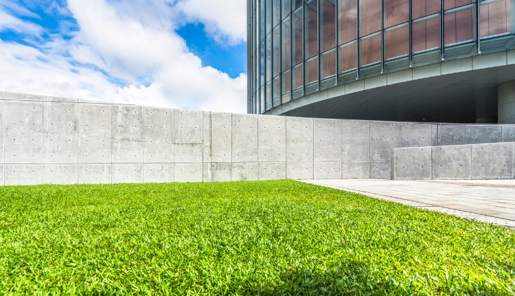 Affordable Commercial Lawn Maintenance in Miami