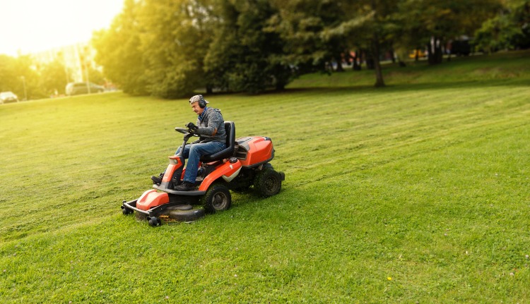 Professionally Maintained Lawn Services in Kendall